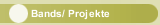 Bands/ Projekte